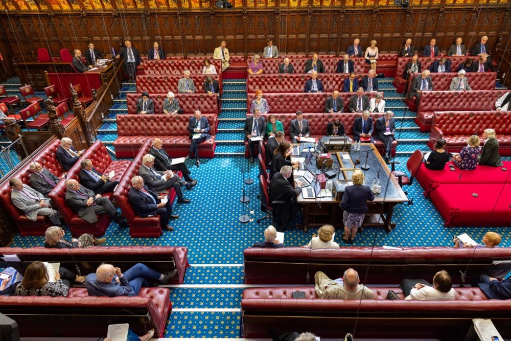 Members speaking in the House of Lords chamber