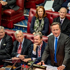 Lord Cameron of Chipping Norton speaking in the Lords chamber