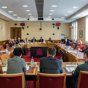 A House of Lords committee at work