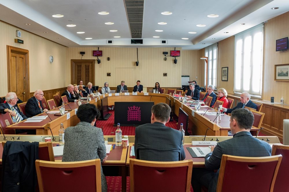 A House of Lords committee at work