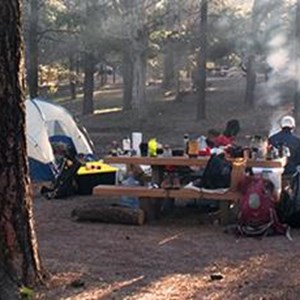 cc0-camping-forest-tents-standard.jpg