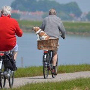 CC0-active-cyclist-elderly-264073-standard.jpg