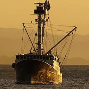 CC0-Fishing-trawler-standard-17-19.jpg