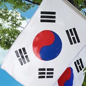 CC0-korea-flag-standard.jpg