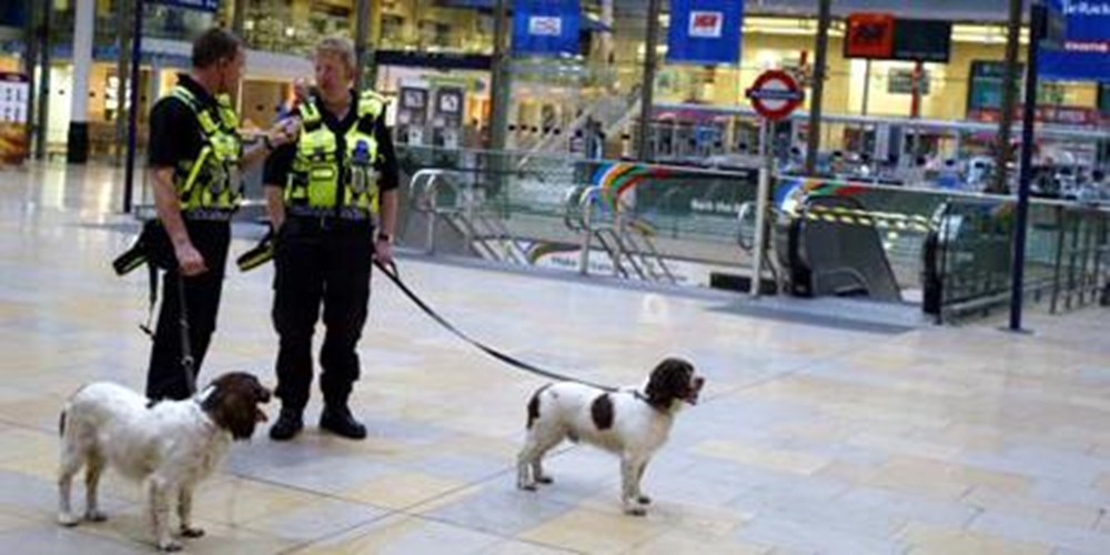 PA-policeofficers-snifferdogs-standard.png