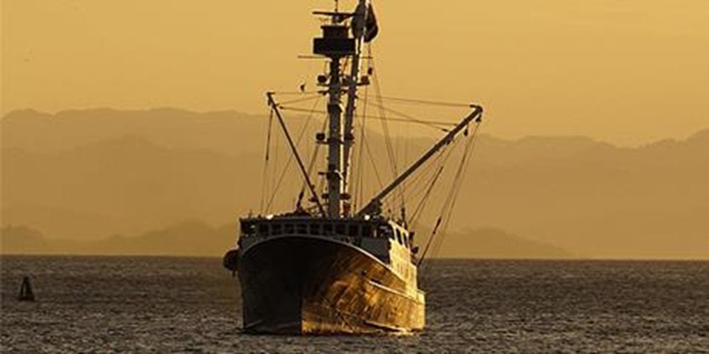 CC0-Fishing-trawler-standard-17-19.jpg