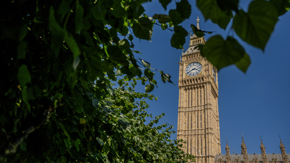 The Elizabeth Tower lit by sun against a bright blue sky, framed by green leaves