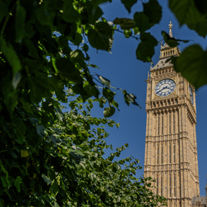 The Elizabeth Tower lit by sun against a bright blue sky, framed by green leaves