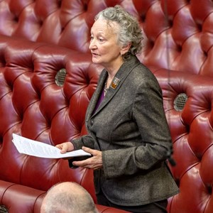 Baroness Jones of Moulsecoomb speaking in the House of Lords chamber