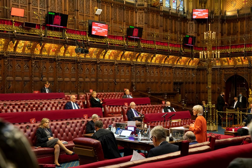 House of Lords chamber during a debate